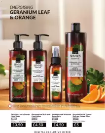 Avon catalogue Page 213
