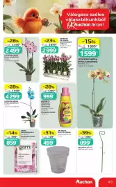 Auchan akciós újság hét 32 Oldal 41