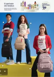 Catálogo Coppel Página 13