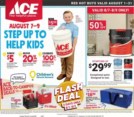 Ace Hardware flyer