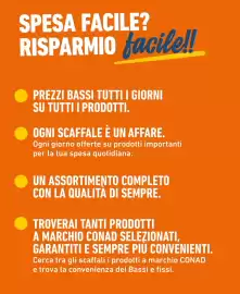 Volantino Spesa Facile Conad Pagina 2