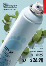 Catálogo Oriflame Página 29