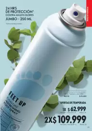 Catálogo Oriflame Página 29