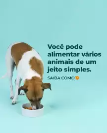Catálogo Cobasi semana 31 Página 1