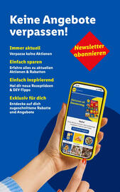 Lidl Flugblatt woche 32 Seite 50