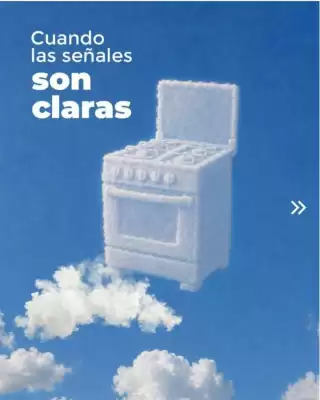 Comandato (válido hasta 14-08)
