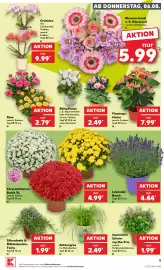 Kaufland DE folder week 32 Pagina 5