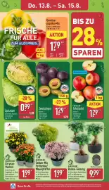 Aldi Nord Prospekt woche 33 Seite 28
