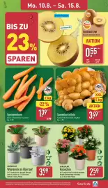 Aldi Nord Prospekt woche 33 Seite 3