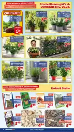 CENTERSHOP Prospekt woche 32 Seite 6