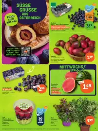 Tegut Prospekt Seite 5