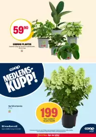 Coop Extra kundeavis uke 32 Side 29
