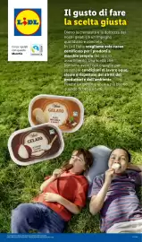 Volantino Lidl settimana 32 Pagina 17