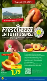 Volantino Lidl settimana 32 Pagina 4