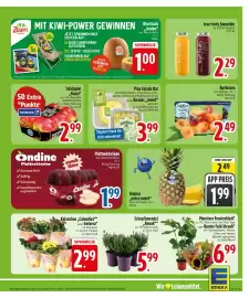 Edeka Prospekt Seite 5