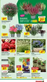Toom Baumarkt Prospekt woche 32 Seite 3