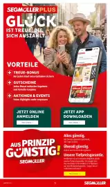 Segmüller Prospekt Seite 9