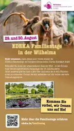 Scheck-in-Center Prospekt woche 32 Seite 63
