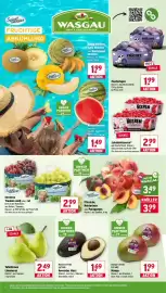 Wasgau Prospekt woche 32 Seite 8