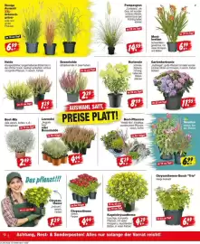 Repo Markt Prospekt woche 32 Seite 10