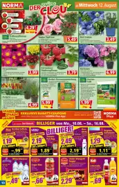 Norma Prospekt woche 33 Seite 10