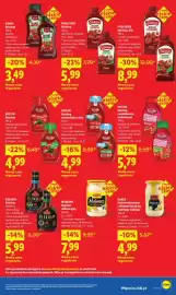 Lidl gazetka Strona 33