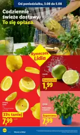 Lidl gazetka Strona 41