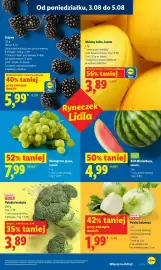 Lidl gazetka Strona 42