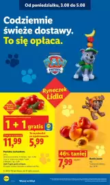Lidl gazetka Strona 43