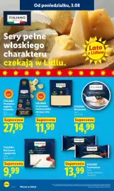 Lidl gazetka Strona 47