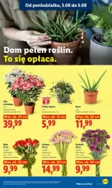 Lidl gazetka Strona 92