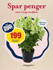 Matkroken kundeavis Side 10