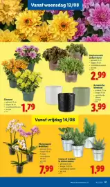Lidl folder Pagina 17
