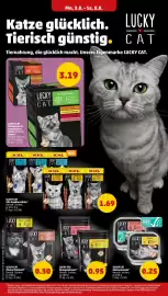 PENNY Prospekt woche 32 Seite 22