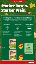 PENNY Prospekt woche 32 Seite 25