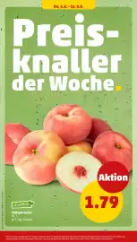 PENNY Prospekt woche 32 Seite 32