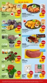 PENNY Prospekt woche 32 Seite 34