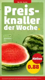 PENNY Prospekt woche 32 Seite 6