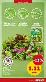 PENNY Prospekt woche 32 Seite 7