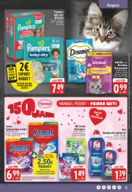 Edeka Niemerszein Prospekt woche 32 Seite 21