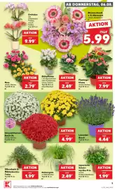 Kaufland Prospekt Seite 14