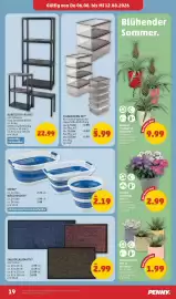 PENNY Flugblatt woche 32 Seite 19