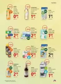 Volantino dm drogerie markt Pagina 13: OATLY bevanda vegetale all'avena €1,99, KOMBUCHA QUEEN €2,39