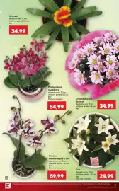 Catalog Kaufland săptămâna 32 Pagină 19