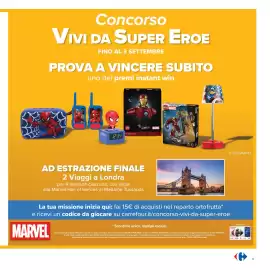 Volantino Carrefour Pagina 13