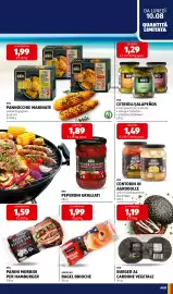 Volantino ALDI settimana 33 Pagina 15: AMERICAN BAGEL BRIOCHE €1,99, BBQ PANNOCCHIE MARINATE €1,99