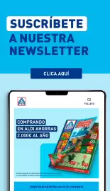 Folleto ALDI semana 33 Página 24