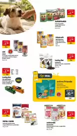Das Futterhaus Prospekt woche 32 Seite 2