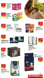 Das Futterhaus Prospekt woche 32 Seite 3