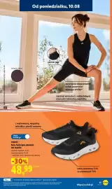 Lidl gazetka Strona 13
